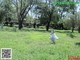 A woman in a white dress running through a field.